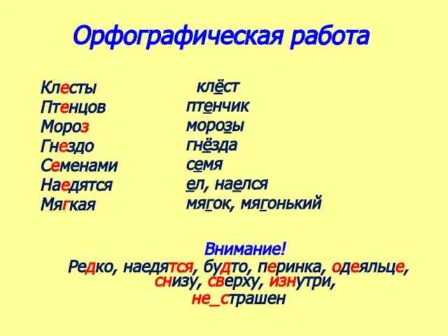 Орфографическая работа Клесты Птенцов Мороз Гнездо Семенами Наедятся Мягкая клёст птенчик