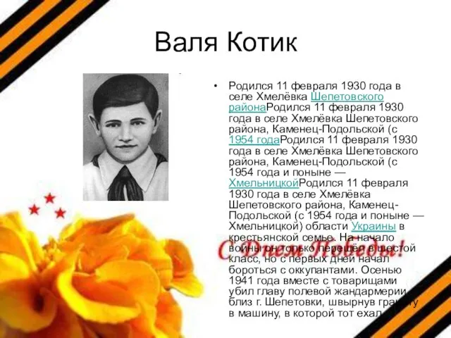 Валя Котик Родился 11 февраля 1930 года в селе Хмелёвка Шепетовского