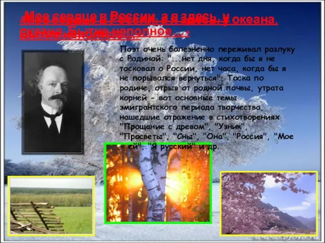 «Мое сердце в России, а я здесь, у океана. Бытие неполное…»