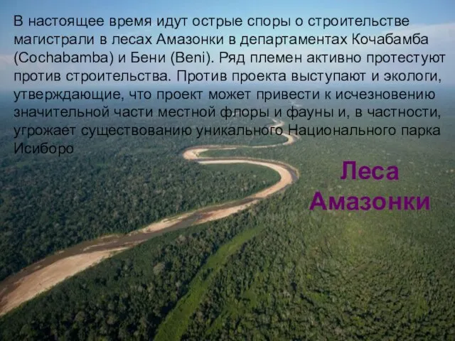 Леса Амазонки В настоящее время идут острые споры о строительстве магистрали