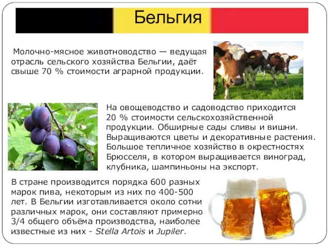 Бельгия Молочно-мясное животноводство — ведущая отрасль сельского хозяйства Бельгии, даёт свыше