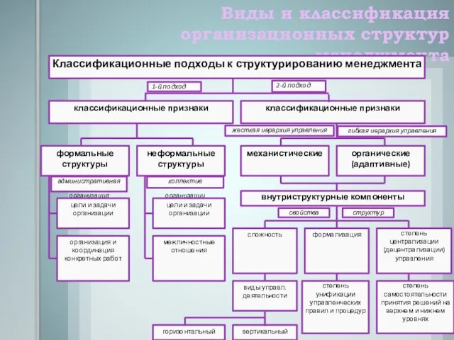 Виды и классификация организационных структур менеджмента