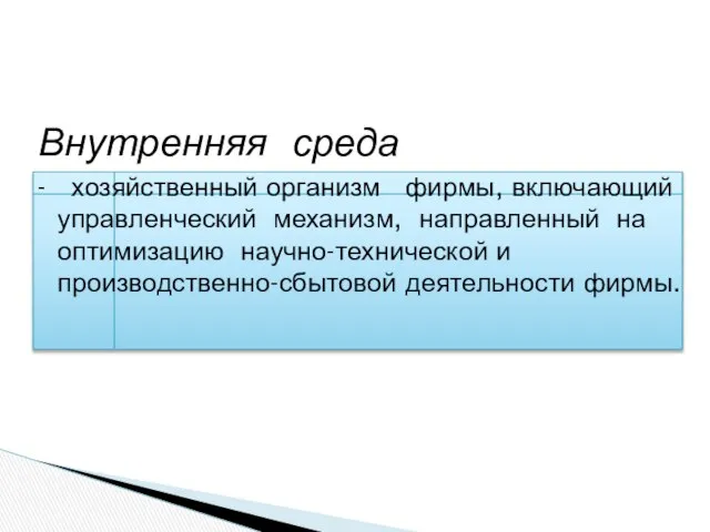 Внутренняя среда - хозяйственный организм фирмы, включающий управленческий механизм, направленный на