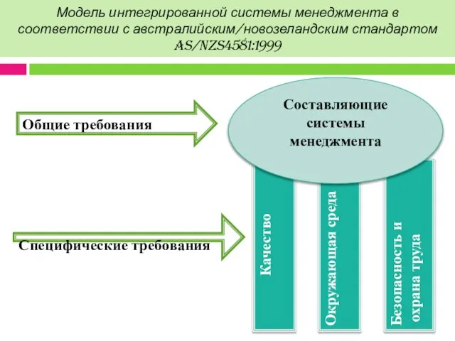 Модель интегрированной системы менеджмента в соответствии с австралийским/новозеландским стандартом AS/NZS4581:1999