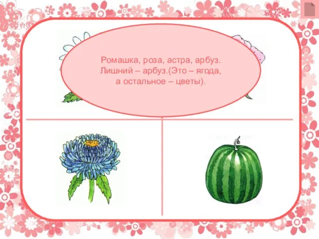 Ромашка, роза, астра, арбуз. Лишний – арбуз.(Это – ягода, а остальное – цветы).