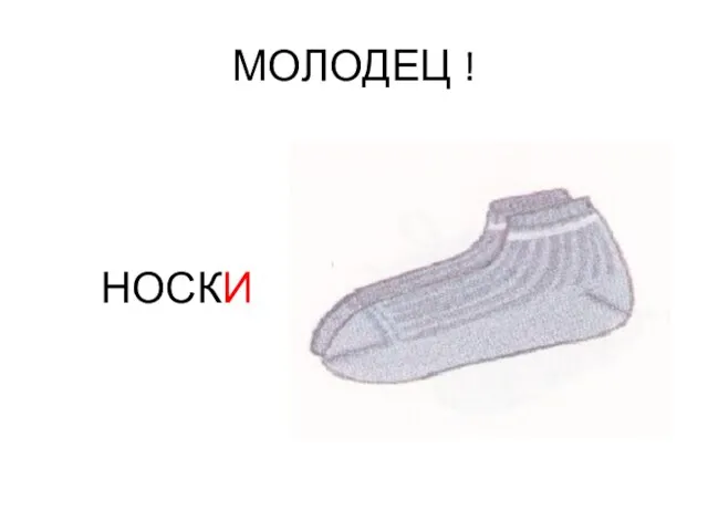 МОЛОДЕЦ ! НОСКИ