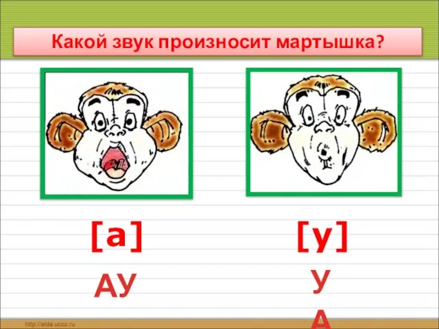 Какой звук произносит мартышка? [а] [у] АУ УА