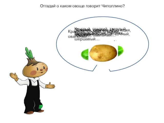 Отгадай о каком овоще говорит Чиполлино? Круглая, желтая, гладкая… Зеленая, круглая,