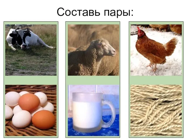 Составь пары: