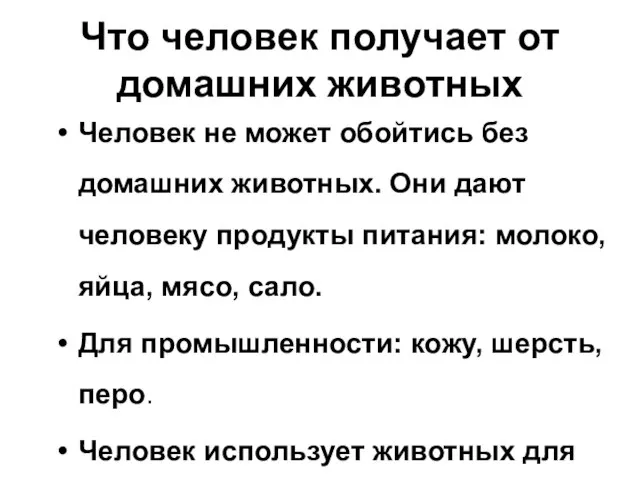 Что человек получает от домашних животных Человек не может обойтись без