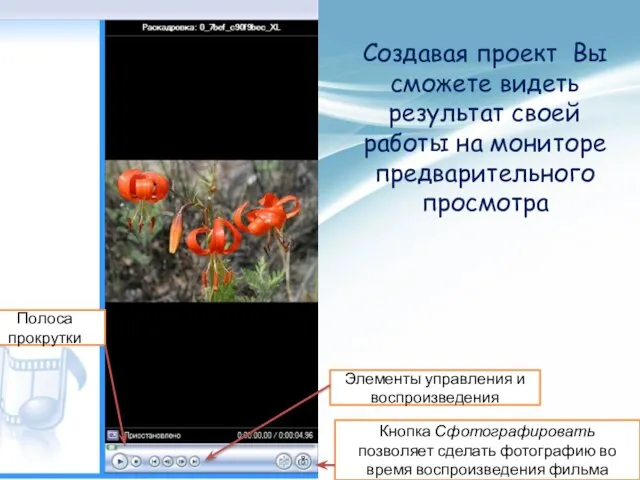 Создавая проект Вы сможете видеть результат своей работы на мониторе предварительного