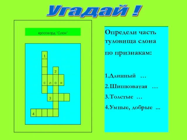 Угадай !