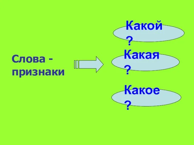 Слова - признаки Какой ? Какая ? Какое ?