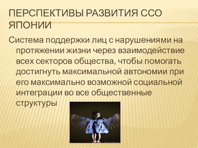 Перспективы развития ССО Японии Система поддержки лиц с нарушениями на протяжении