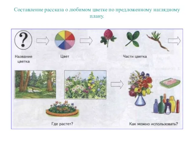 Составление рассказа о любимом цветке по предложенному наглядному плану.