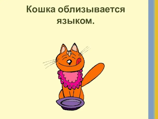 Кошка облизывается языком.