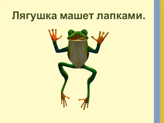 Лягушка машет лапками.