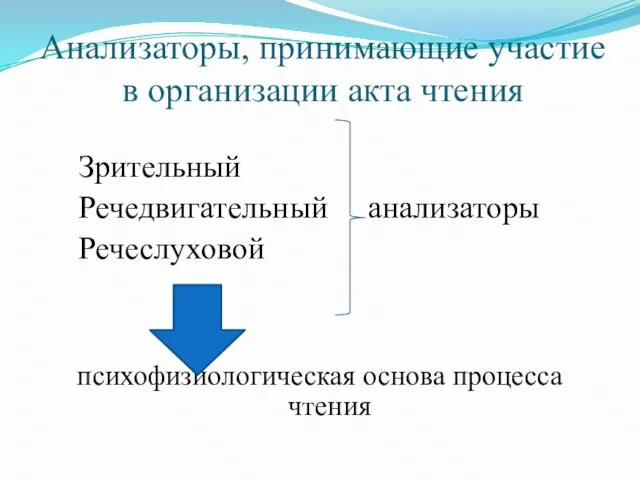 Анализаторы, принимающие участие в организации акта чтения Зрительный Речедвигательный анализаторы Речеслуховой психофизиологическая основа процесса чтения