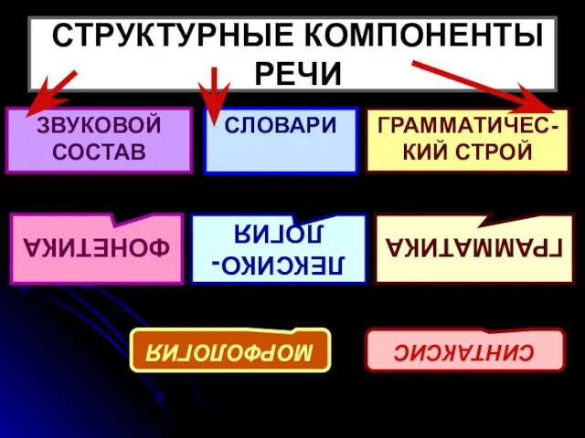 СТРУКТУРНЫЕ КОМПОНЕНТЫ РЕЧИ ЗВУКОВОЙ СОСТАВ СЛОВАРИ ГРАММАТИЧЕС-КИЙ СТРОЙ ФОНЕТИКА ЛЕКСИКО- ЛОГИЯ ГРАММАТИКА МОРФОЛОГИЯ СИНТАКСИС