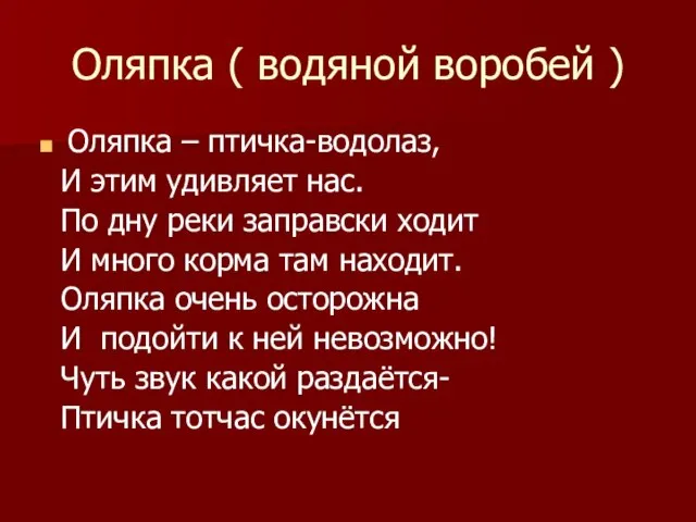 Оляпка ( водяной воробей ) Оляпка – птичка-водолаз, И этим удивляет