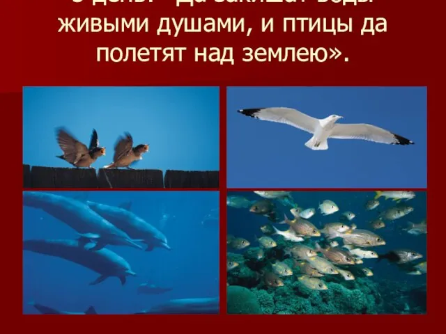 5 день: «Да закишат воды живыми душами, и птицы да полетят над землею».