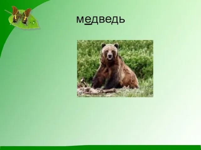 медведь