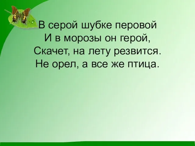 В серой шубке перовой И в морозы он герой, Скачет, на