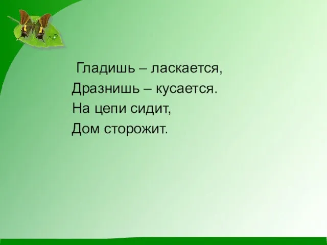 Гладишь – ласкается, Дразнишь – кусается. На цепи сидит, Дом сторожит.