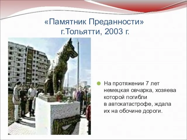 «Памятник Преданности» г.Тольятти, 2003 г. На протяжении 7 лет немецкая овчарка,