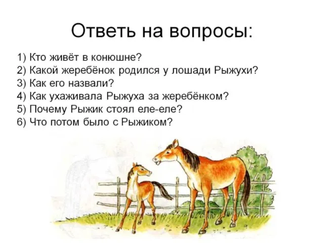 Ответь на вопросы: