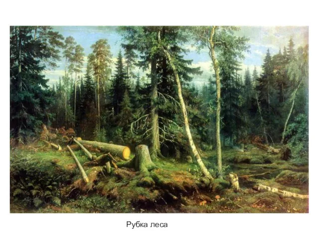 Рубка леса