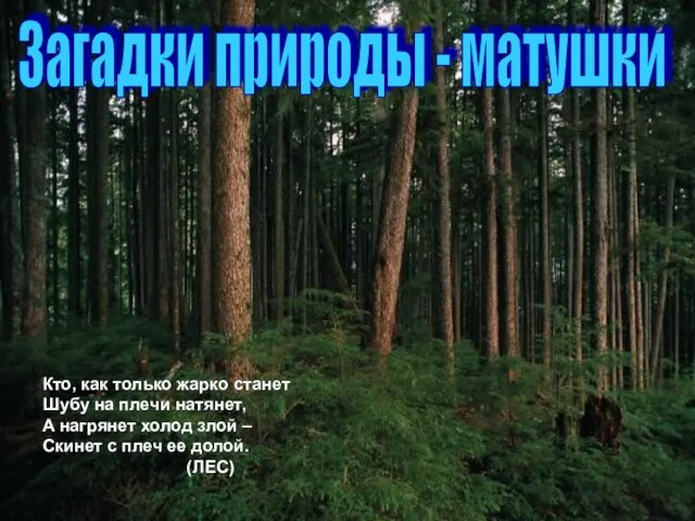 Кто, как только жарко станет Шубу на плечи натянет, А нагрянет