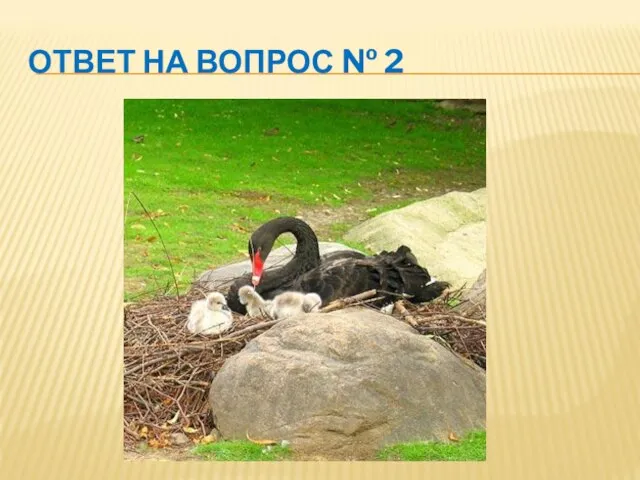 ОТВЕТ НА ВОПРОС № 2