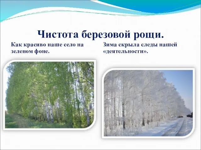 Чистота березовой рощи. Как красиво наше село на зеленом фоне. Зима скрыла следы нашей «деятельности».