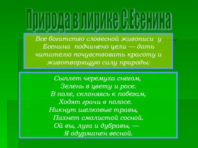 Природа в лирике С.Есенина Сыплет черемуха снегом, Зелень в цвету и