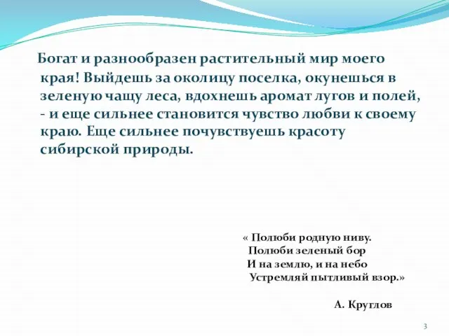 Богат и разнообразен растительный мир моего края! Выйдешь за околицу поселка,