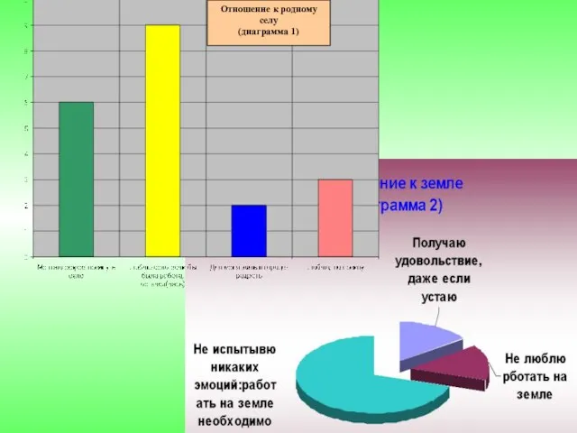 Отношение к родному селу (диаграмма 1)