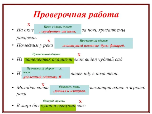 На окне серебряном от инея за ночь хризантемы расцвели. Помедлим у