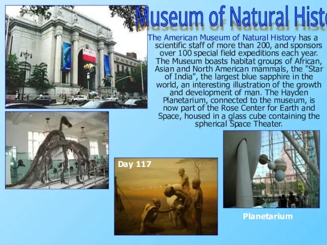 The American Museum of Natural History has a scientific staff of