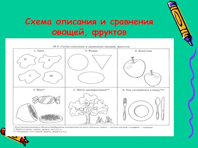 Схема описания и сравнения овощей, фруктов