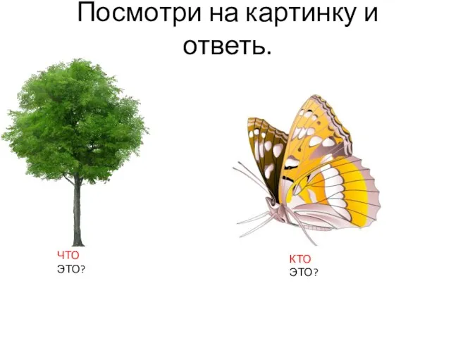 Посмотри на картинку и ответь. ЧТО ЭТО? КТО ЭТО?