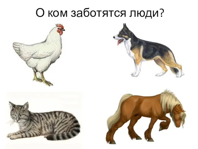 О ком заботятся люди?