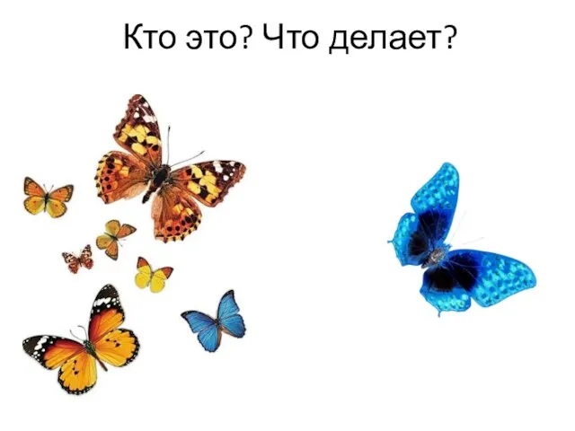 Кто это? Что делает?