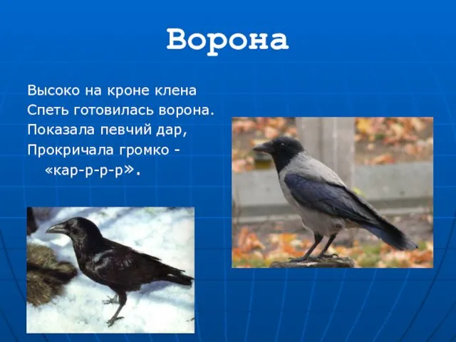 Ворона Высоко на кроне клена Спеть готовилась ворона. Показала певчий дар, Прокричала громко -«кар-р-р-р».