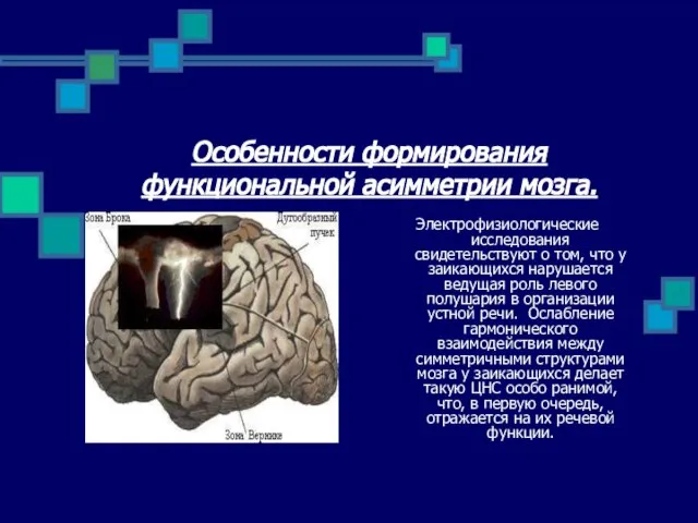 Особенности формирования функциональной асимметрии мозга. Электрофизиологические исследования свидетельствуют о том, что