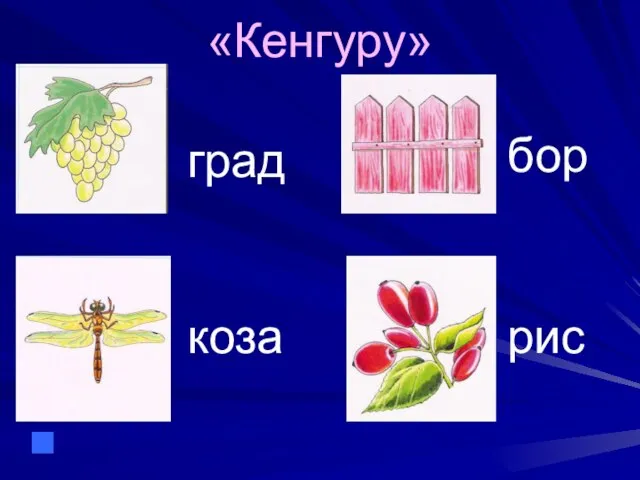 «Кенгуру» град бор коза рис