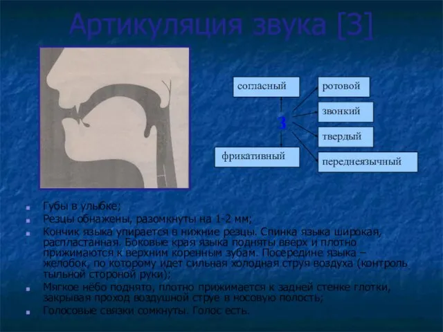 Артикуляция звука [З] Губы в улыбке; Резцы обнажены, разомкнуты на 1-2