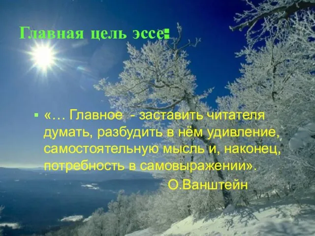 Главная цель эссе: «… Главное - заставить читателя думать, разбудить в