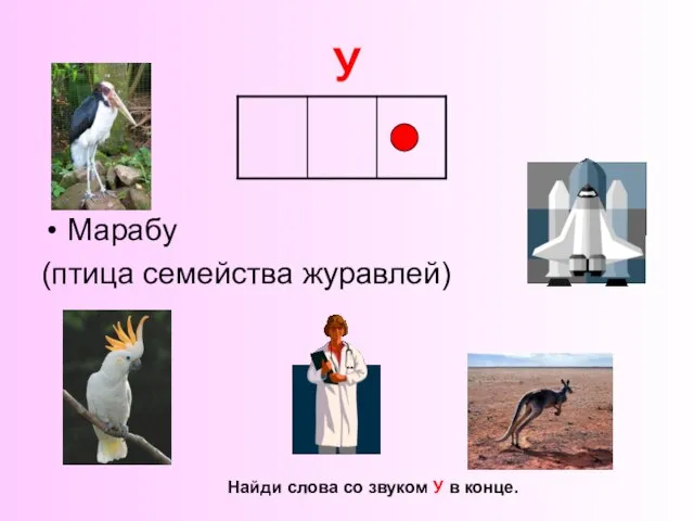 У Марабу (птица семейства журавлей) Найди слова со звуком У в конце.