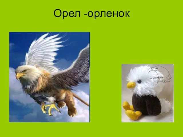 Орел -орленок